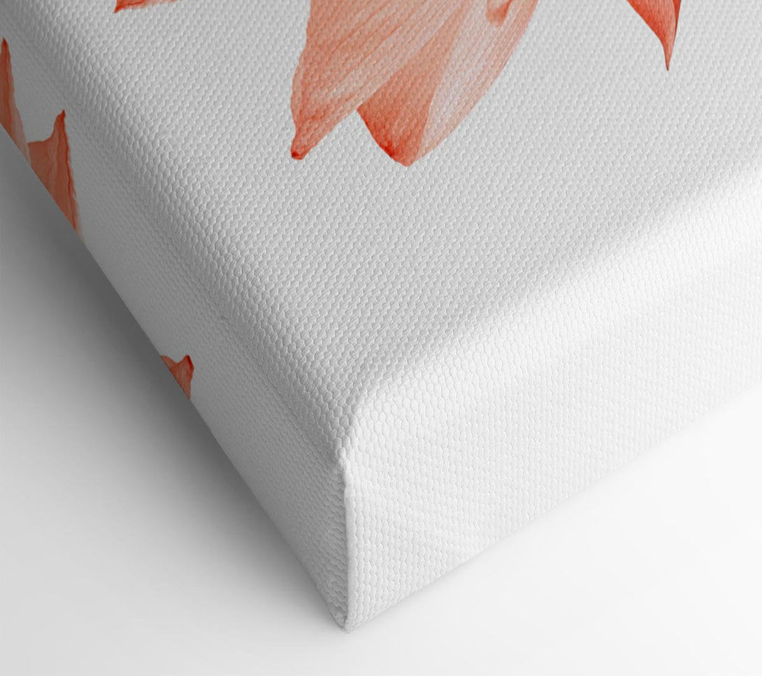 Picture of The Peach Flower Beauty Canvas Print Wall Art