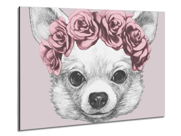 Flower Head Chihuahua Metal Print