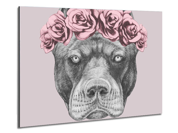 Flower Head Pitbull Metal Print