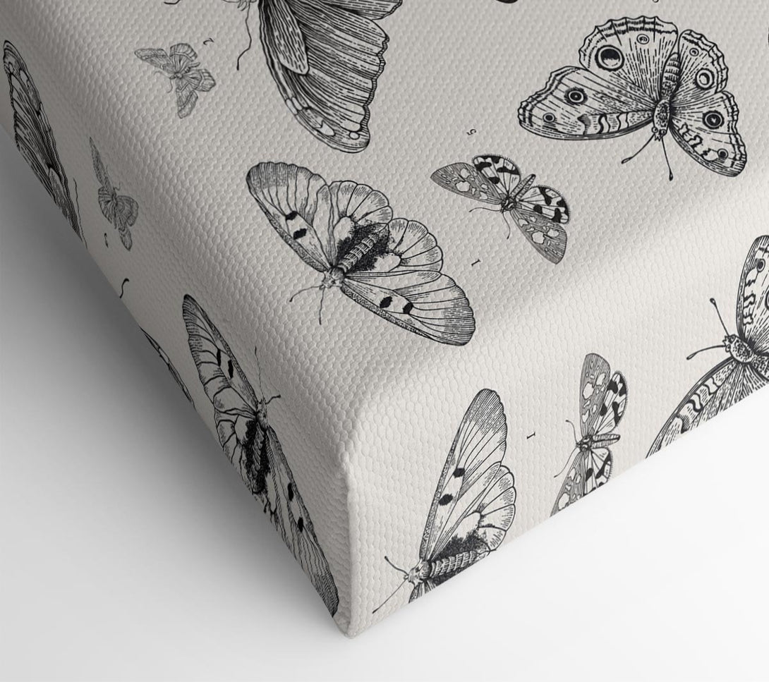  A Canvas Print of British Butterflies Canvas Art