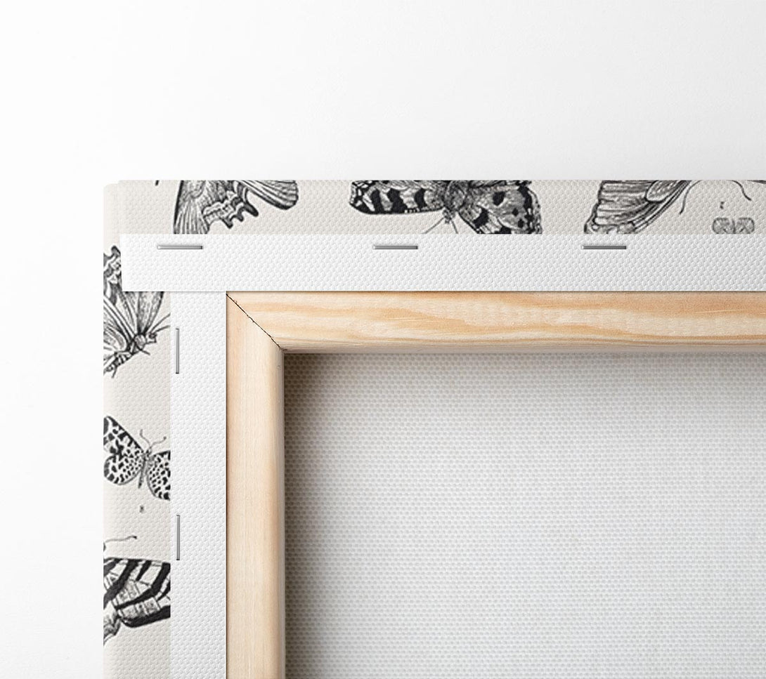  A Canvas Print of British Butterflies Canvas Art