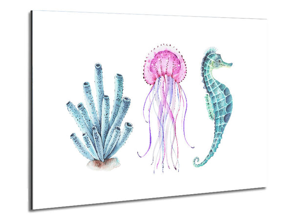 Seahorse Watercolour Metal Print