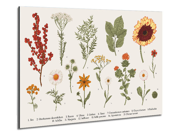 Flower Illustration Handrawn Metal Print