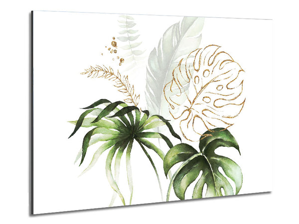 Beautiful Cheese Plant Metal Print