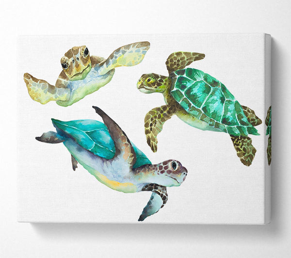  A Canvas Print of Seaturtle Love Canvas Print