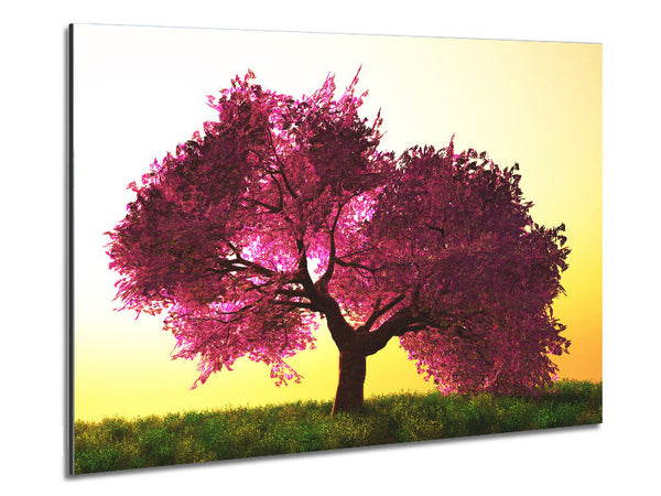 The Pink Tree Blossom Hilltop Metal Print