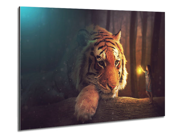 Visiting The Tiger Woman Metal Print