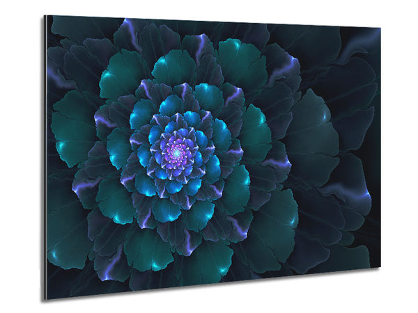 Spiral Into The Succulent Cactus Metal Print