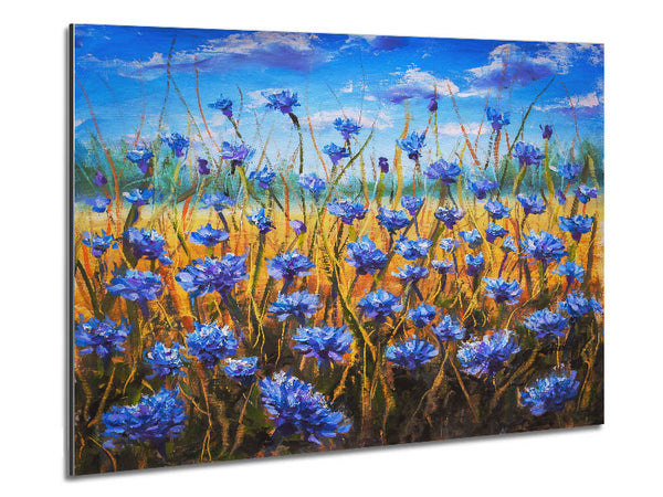 Tiny Blue Flowers In The Field Metal Print