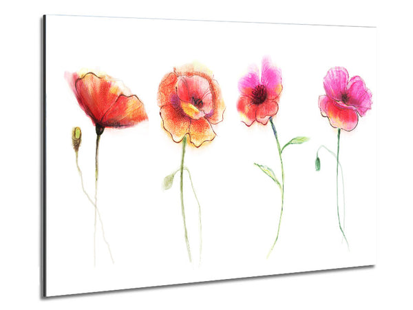 Four Pretty Flowers Metal Print
