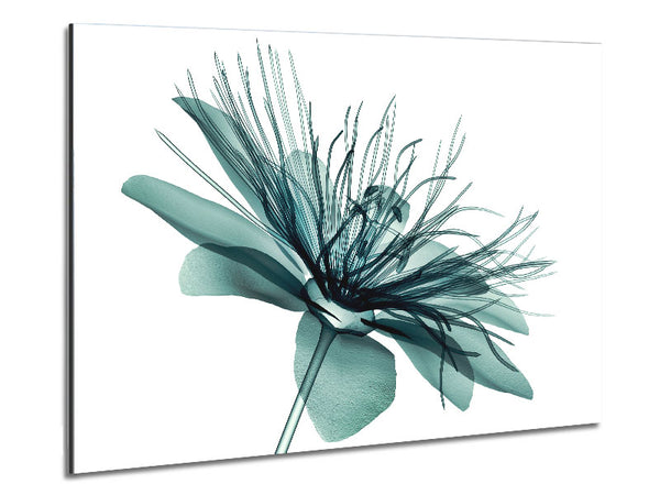 Green Flower Opens Metal Print