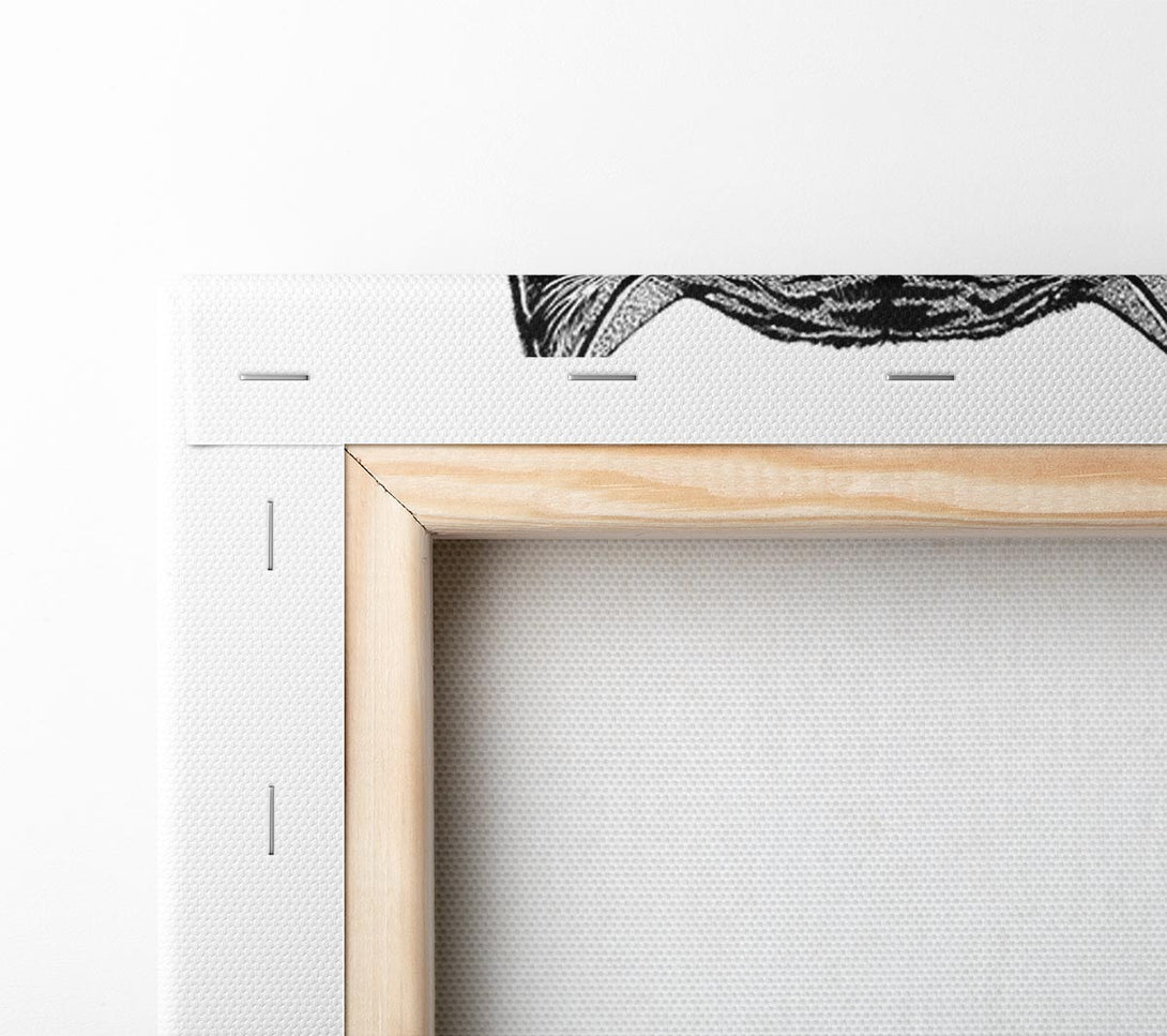  A Canvas Print of Glasses On A Tiger Hipster Canvas Art