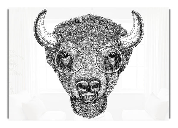 Glasses On A Bison