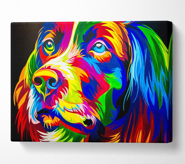  A Canvas Print of The Stunning Colourful Dog Canvas Wall Art