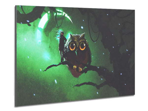 The Visit From The Owl Metal Print
