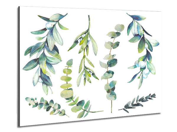 Green Foliage Of Nature Metal Print