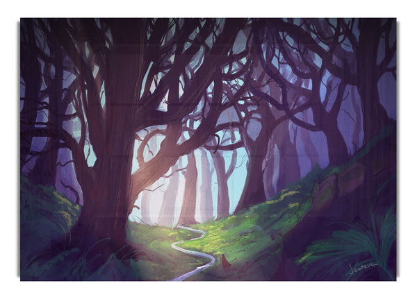 The Scary Woodland Walk