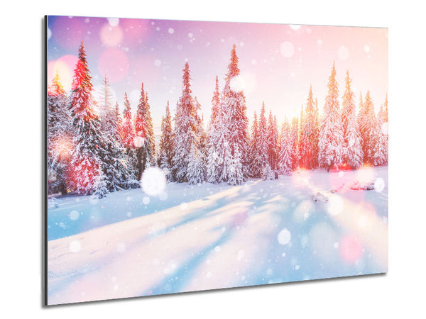 Snow Storm Sunlight Metal Print