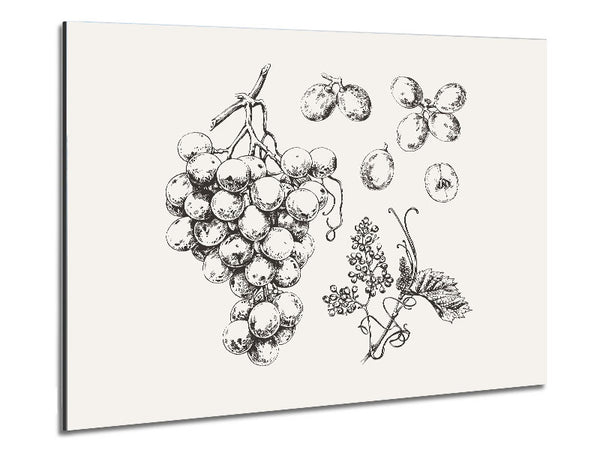 Bounty Harvest Metal Print