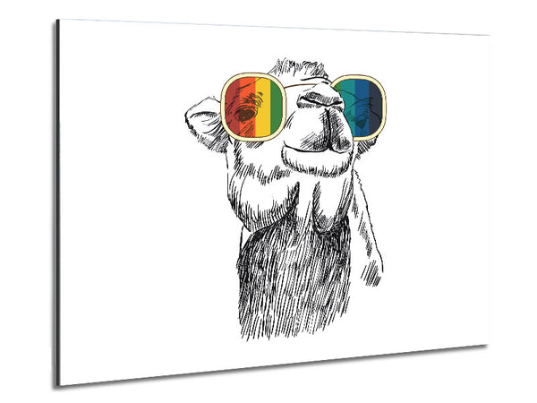 Colourful Glasses Camel Metal Print