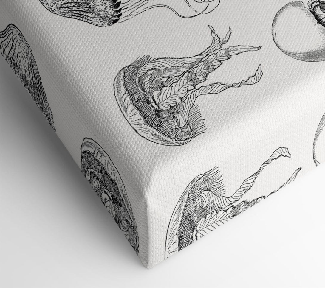  A Canvas Print of Jellyfish And Shrimp Canvas Wall Art