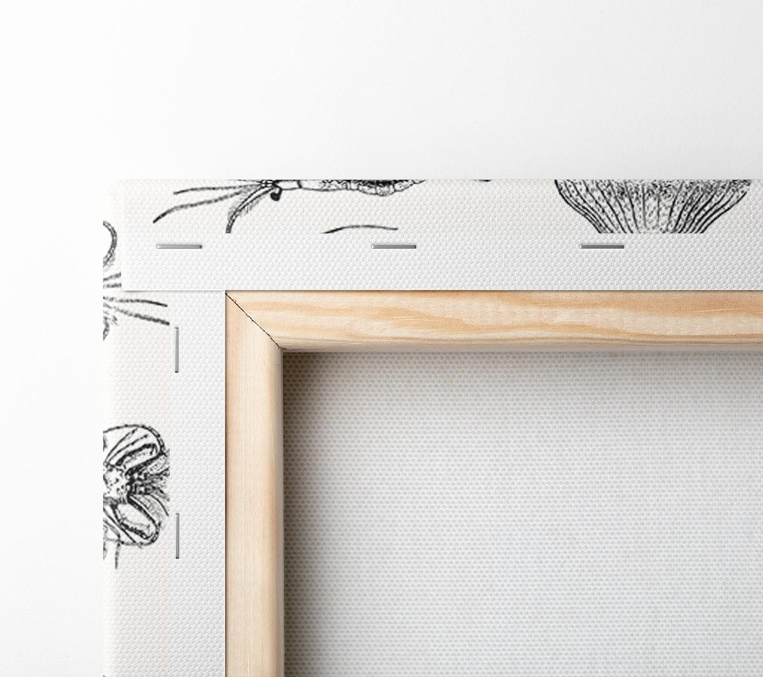  A Canvas Print of Jellyfish And Shrimp Canvas Wall Art