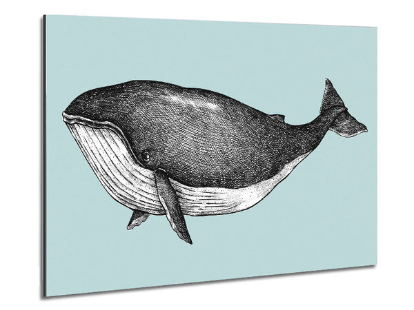 Big Fat Whale Metal Print