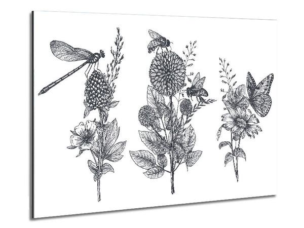 Britain'S Dragonfly And Plants Metal Print