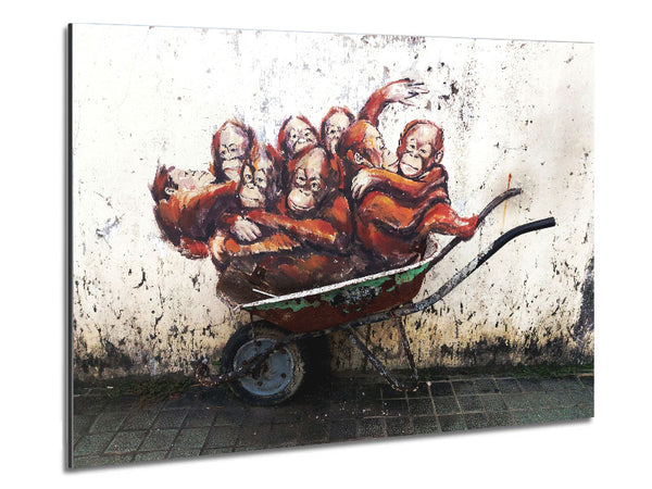 Orangutans In A Wheelbarrow Metal Print