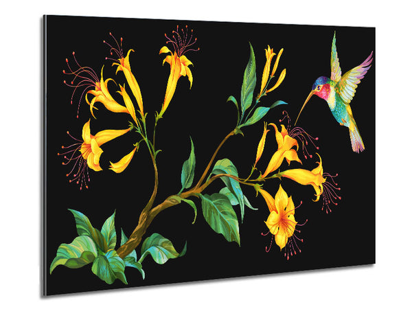 Trumpet Flower Hummingbird Metal Print