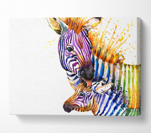  A Canvas Print of Zebra Paint Splatter Canvas Print