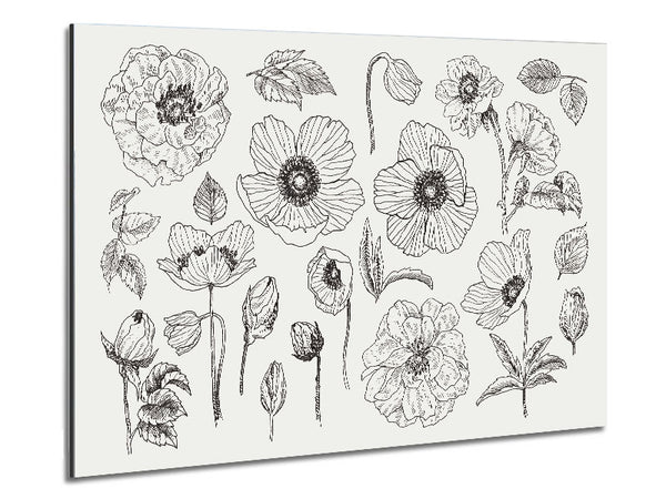 Hand Drawn Flowers Illustration Metal Print