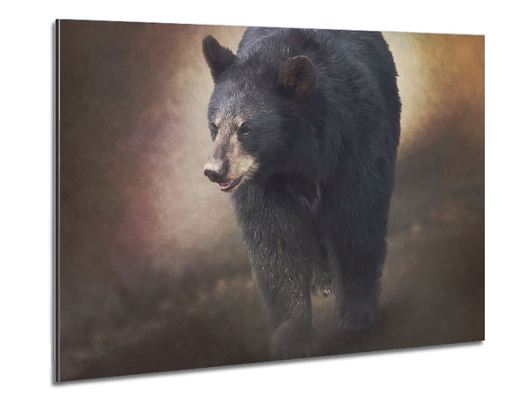 The Brown Bear Mist Metal Print