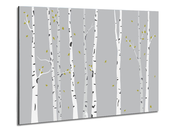 Birch Trees On Grey Metal Print