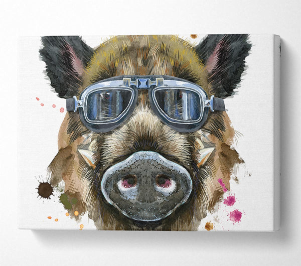  A Canvas Print of The Boar In Glasses Canvas Wall Art