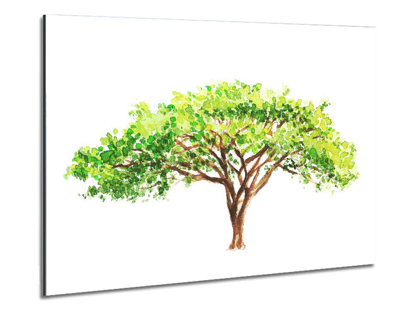 Green Tree In The Savannah Metal Print