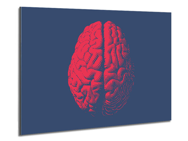 The Red Brain Metal Print