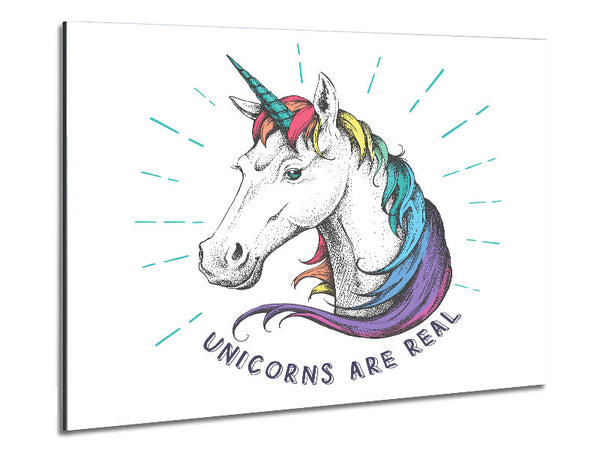 Unicorns Are Real Metal Print