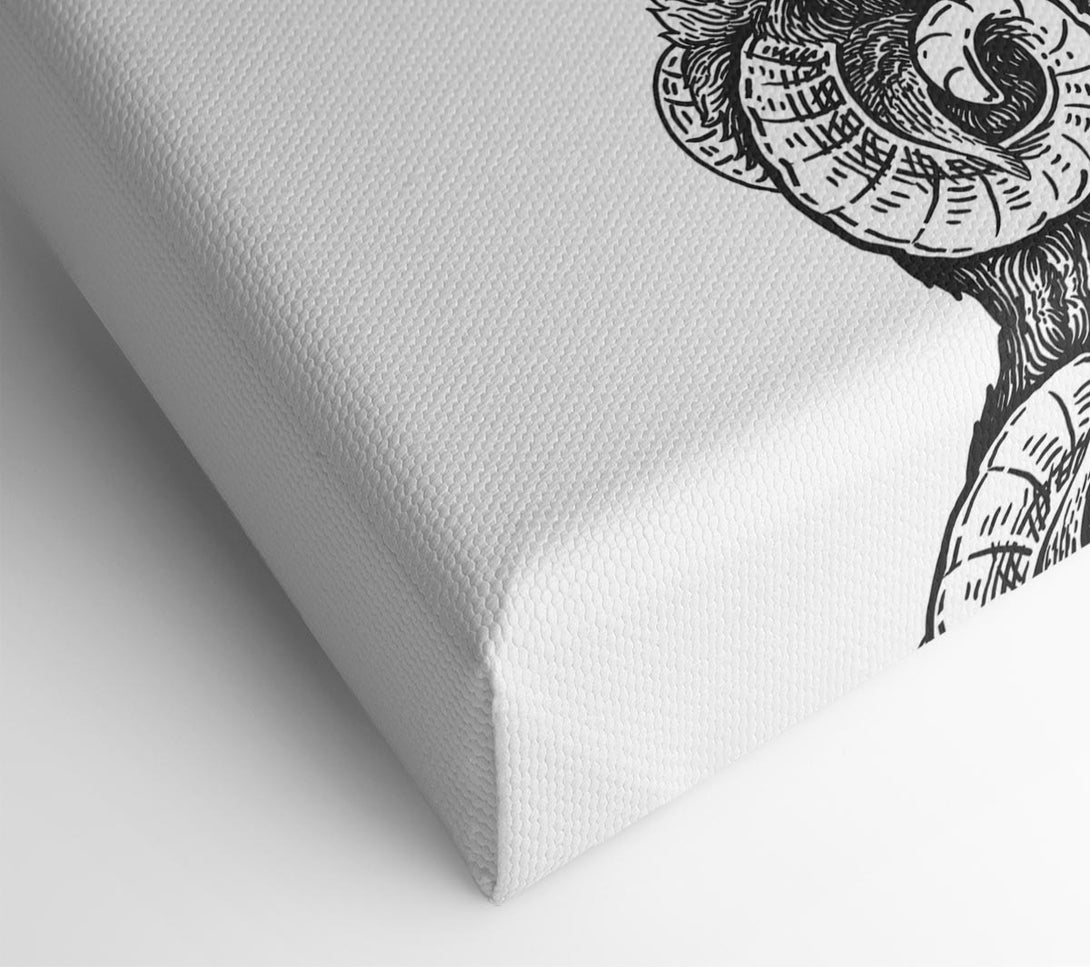  A Canvas Print of Goat Sheep Donkey Canvas Art