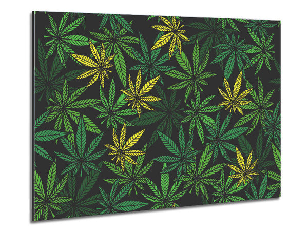Cannabis Leaves Metal Print