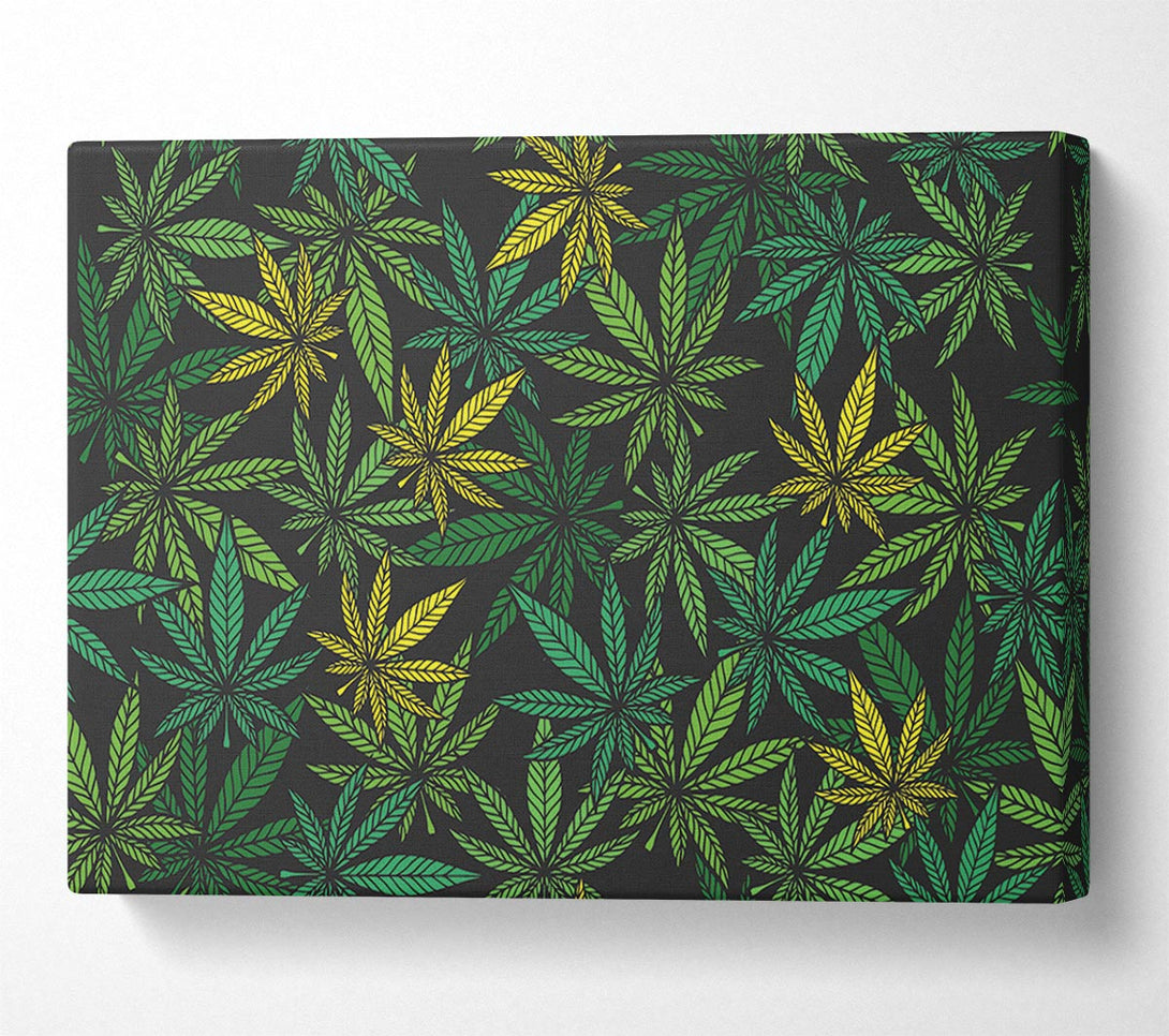  A Canvas Print of Cannabis Leaves Canvas Print