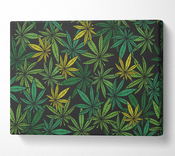  A Canvas Print of Cannabis Leaves Canvas Print
