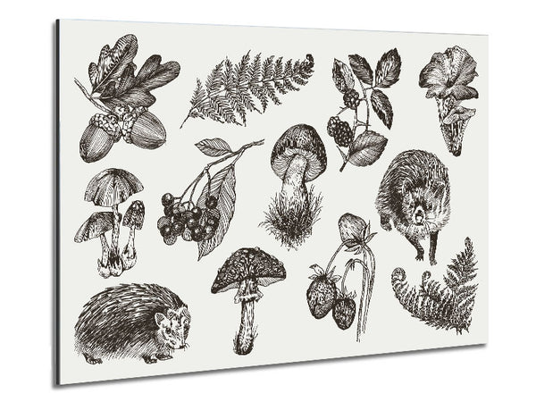 British Flowers And Wildlife Metal Print