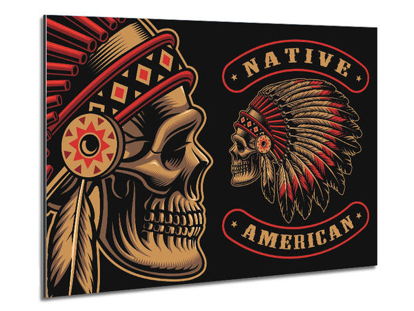 Indian Head Skull Native American Metal Print