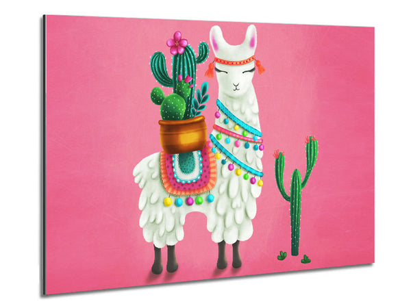 Llama Carrying Cactus Metal Print