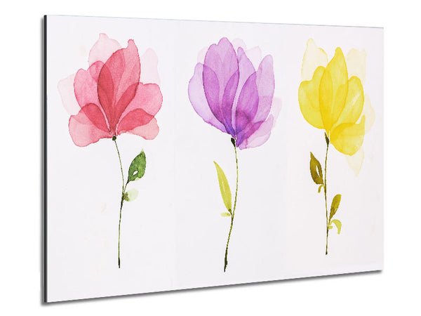 Trio Of Pastel Flowers Metal Print
