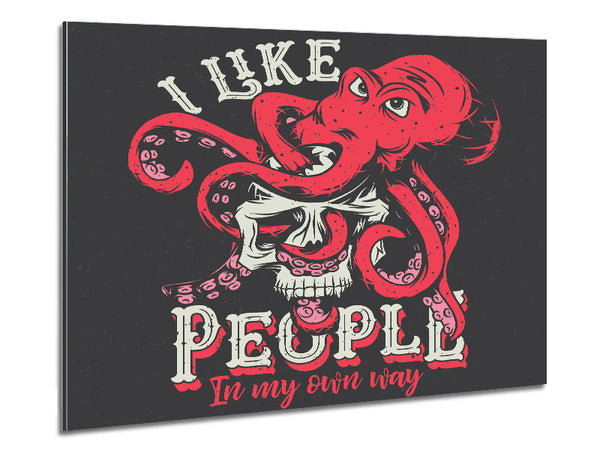 I Like People In My Own Way Metal Print