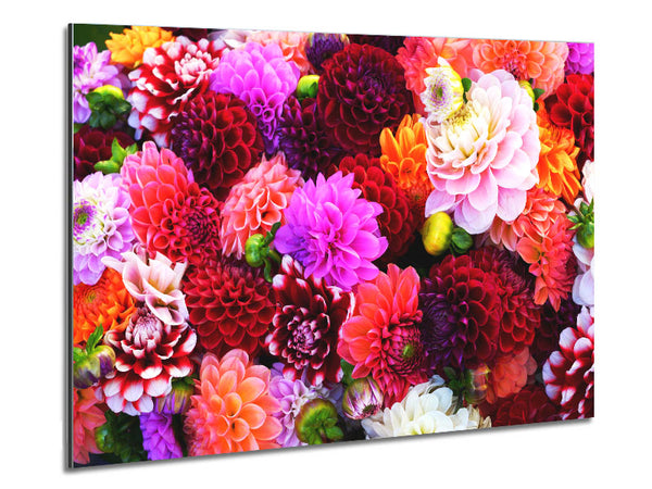 Huge Flower Explosion Metal Print
