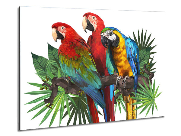 Three Parrots On A Branch Metal Print