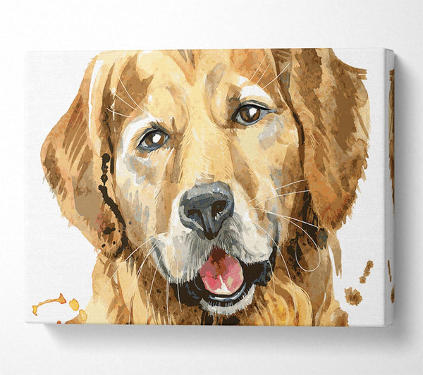  A Canvas Print of Labrador Happiness Canvas Wall Art
